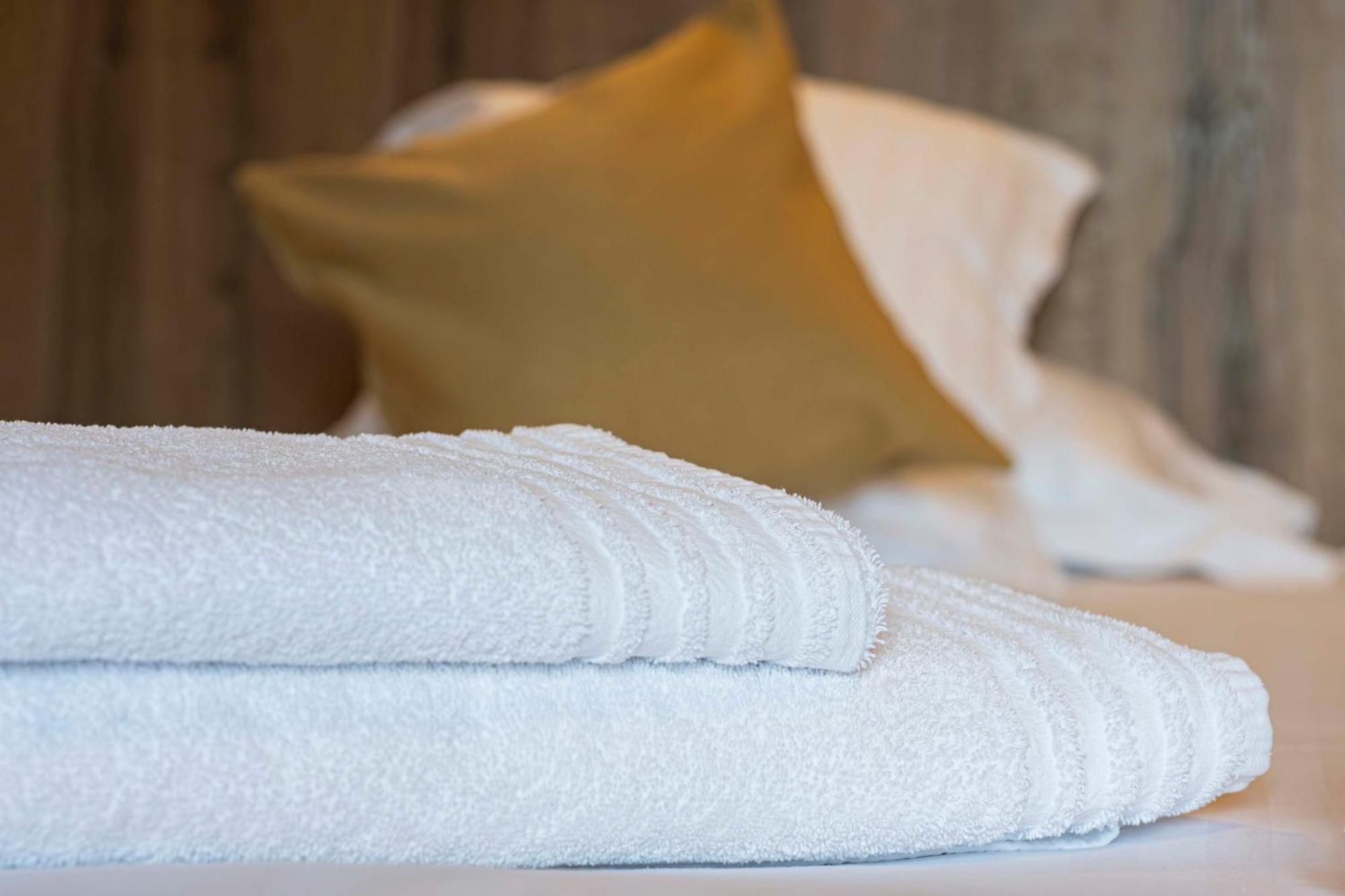 Domaine De La Plagnette Hotel Les Salles Екстериор снимка